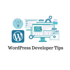 Hire Dedicated WordPress Developer